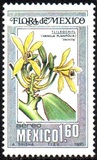 [Airmail - Mexican Flora and Fauna, 類型 BHF]