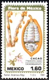[Mexican Flora and Fauna, タイプ BIV]