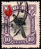 [Local Motifs, type AR]