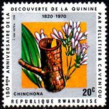 [The 150th Anniversary of Discovery of Quinine and Other Alkaloids by Pierre Joseph Pelletier and Joseph Bienaime Caventou, tipas JB]