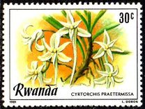 [Flowers, type AIV]