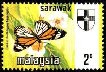 [Butterflies, տեսակ BS]
