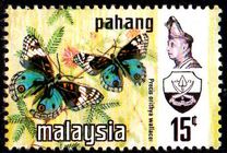 [Sultan Abu Bakar & Butterflies, type AN]