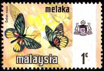 [Butterflies, type AM]