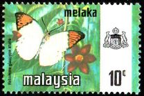 [Butterflies, type AQ]