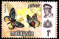 [Butterflies, type AU]