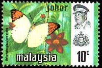 [Butterflies, type AY]