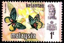 [Butterflies, type AM]