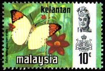 [Butterflies, type AQ]