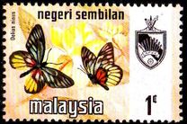 [Butterflies, type AK]