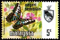 [Butterflies, type AM]