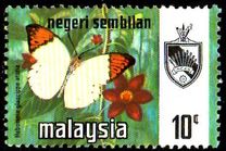 [Butterflies, type AO]