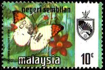 [Butterflies, type AO1]