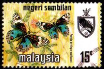 [Butterflies, type AP]