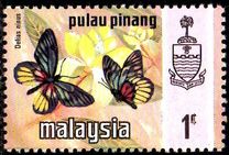 [Butterflies, tipo AM]