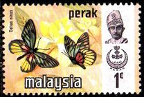 [Butterflies, type AQ]