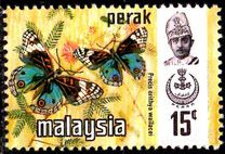 [Butterflies, type AV]