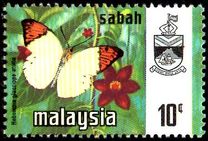 [Butterflies, type N]