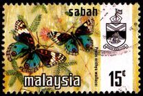 [Butterflies, type O]