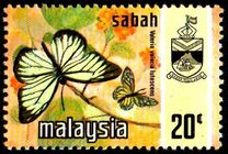 [Butterflies, type P]