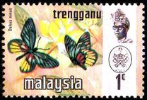 [Butterflies, type AI]