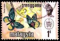 [Butterflies, type AI]