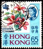 [Local Motives, type BN]