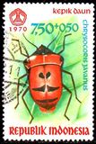[Insects, τύπος ZQ]