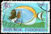 [Fish, Tip ACD]