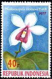 [Orchids, type AHK]