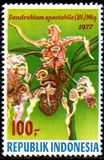[Orchids, type AHL]