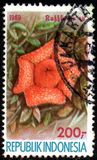[Flowers, type AWX]