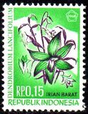 [Flora & Fauna, tegund G]