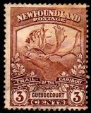 [Newfoundland Troops in the World War I, тып BZ1]