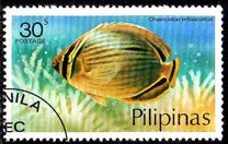 [Fish, type ANJ]