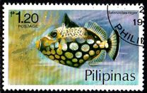 [Fish, type ANK]
