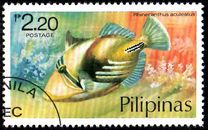 [Fish, type ANL]