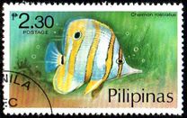 [Fish, type ANM]