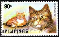 [Dogs and Cats, type AOU]