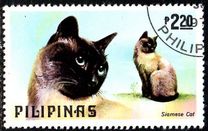 [Dogs and Cats, type AOW]