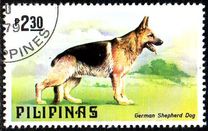 [Dogs and Cats, type AOX]