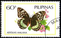 [Butterflies, 類型 EFW]