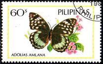 [Butterflies, 類型 EFW]