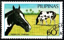 [Horses, type EIT]