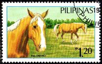 [Horses, type EIU]