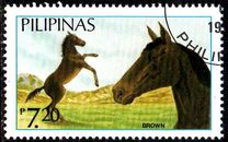 [Horses, type EIW]