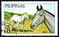 [Horses, type EIX]