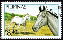 [Horses, type EIX]
