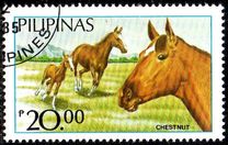 [Horses, type EIY]