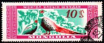 [Mongolian Wildlife, tip EA]